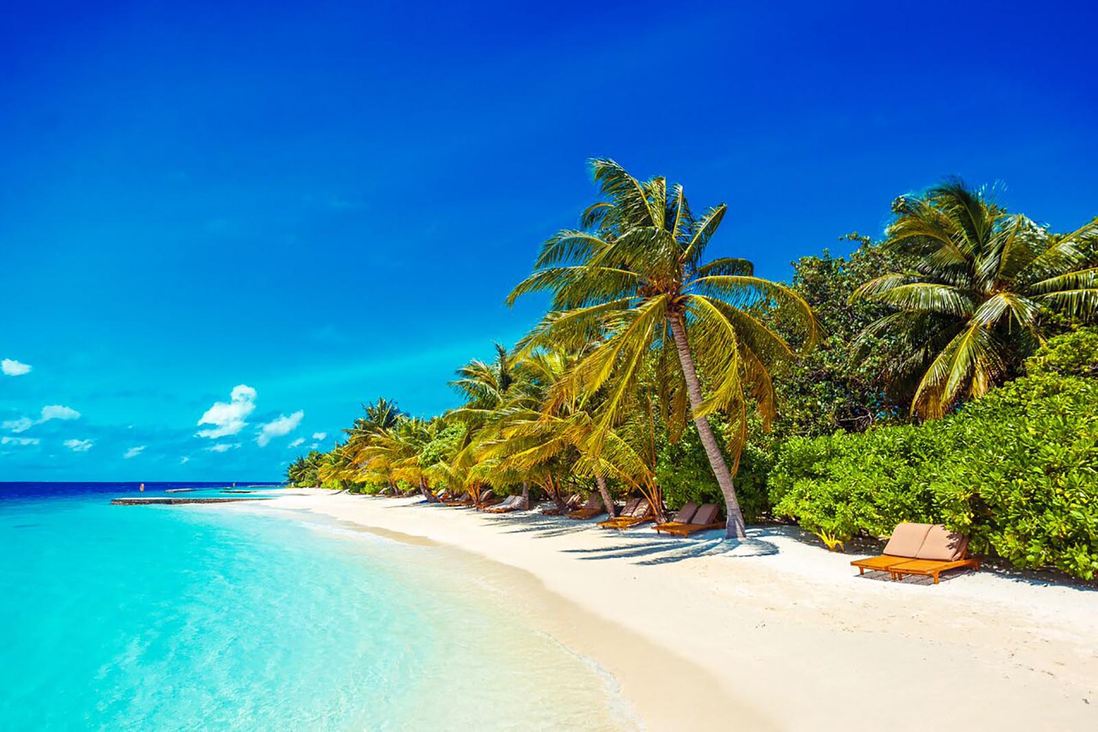 Lily Beach Resort & Spa | Neoscapes Maldives