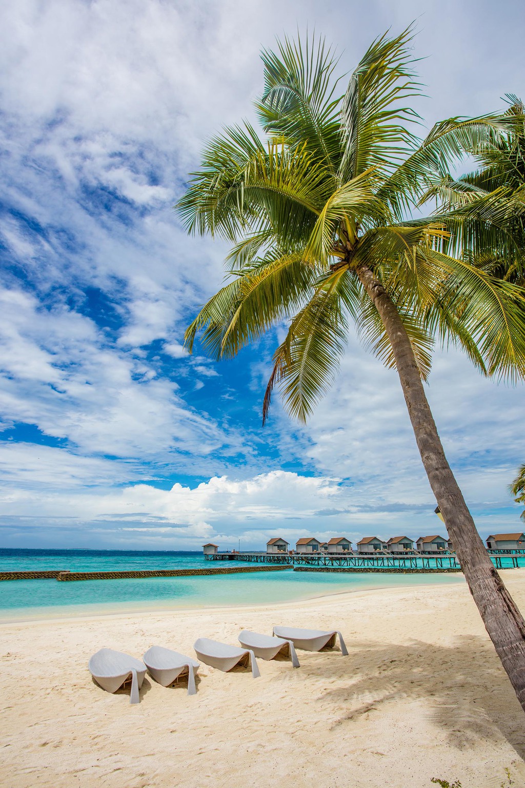 Centara Ras Fushi Island Resort & Spa Maldives | Neoscapes Maldives